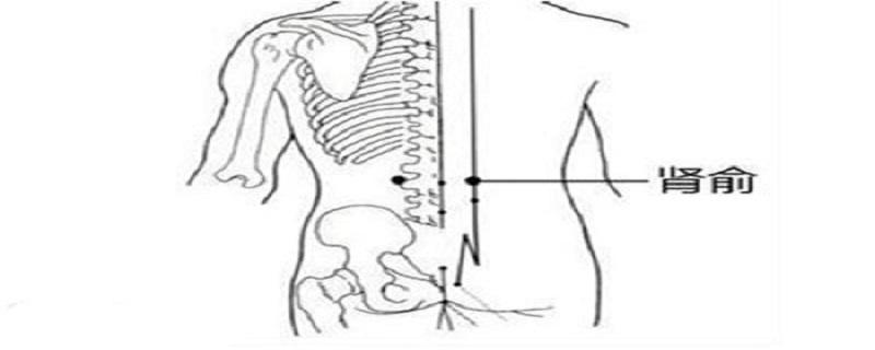 肾俞的简易找法（肝脾肾俞的简易找法）