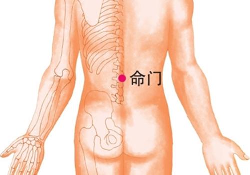 早泄拔罐位置示意图 拔罐的示意图