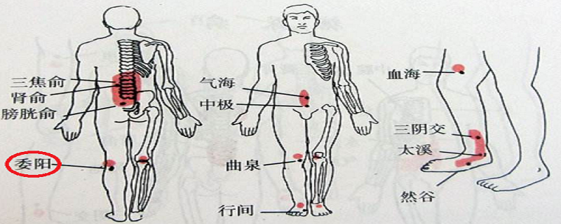 委阳疼是怎么回事（委阳委中部位胀痛是怎么办）