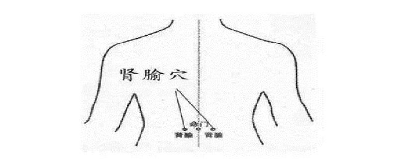 肾俞在身体哪个位置（肾俞是肾的位置吗）