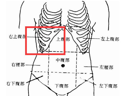 右上腹部疼痛的可能病因 右上腹痛是什么原因