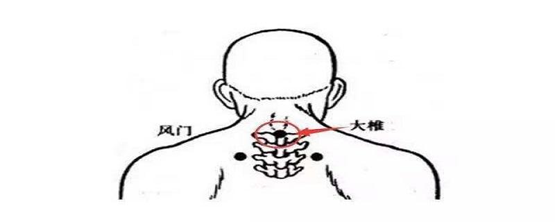 大椎的位置在哪里（大椎在什么位置示意图）