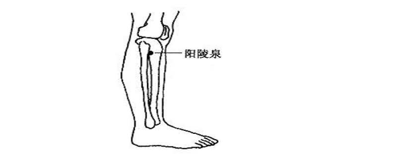 针灸阳陵泉作用 阳陵泉透阴陵泉针灸作用