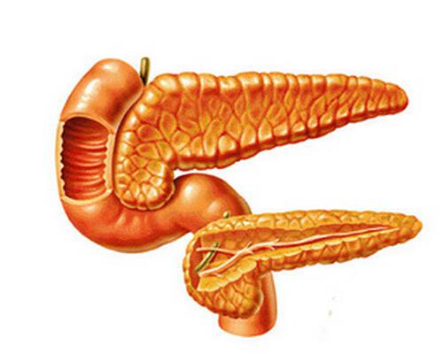 关于胰腺癌的较全面科普 有关胰腺癌的知识