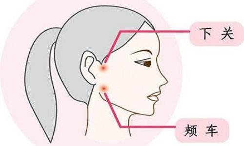 颊车的准确位置图（颊车的准确位置图和作用）