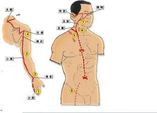 手太阳小肠经经循行图（手太阳小肠经经循行图高清）