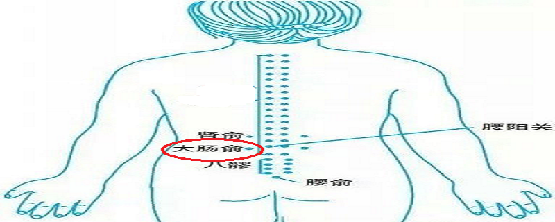 针灸大肠俞有什么作用 灸大肠俞的作用