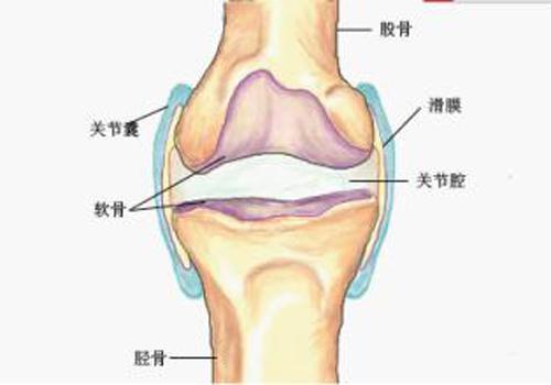 滑膜炎怎么治疗最有效（女性滑膜炎怎么治疗最有效）