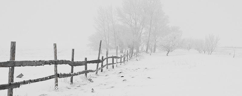 2021到2022年数九时间表 2021到2022年数九时间表立春