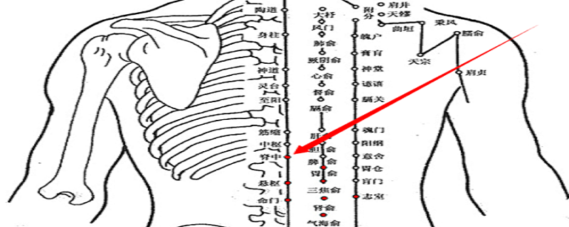 脊中位置疼是怎么回事（脊中位置疼如何治）
