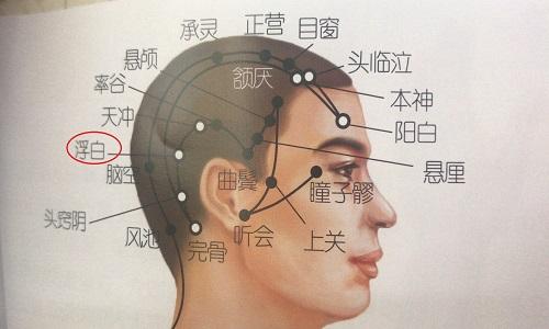 浮白的准确位置图片（浮白的准确位置图片作用功效）