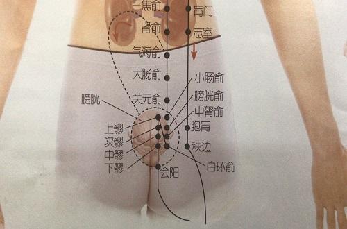 胞肓准确位置图和作用（膏肓准确位置图和作用的准确位置图和作用）