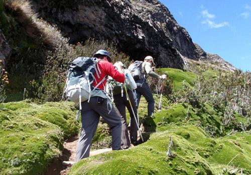 如何登山省力又健康（怎么锻炼登山的体力）