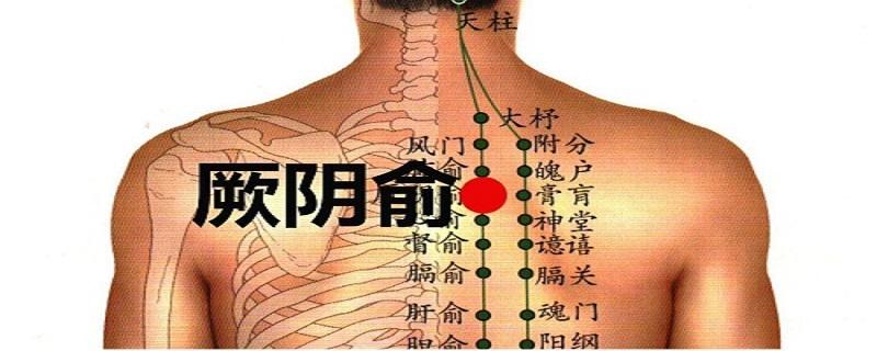 厥阴俞在哪里 厥阴俞的准确位置图作用功效