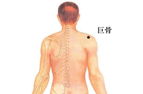 巨骨的准确位置图（肩髃和巨骨的准确位置图）