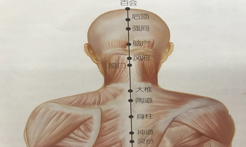 脑户的准确位置图片 脑户准确位置图片