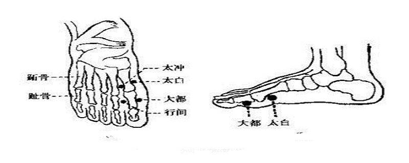 大都的意思和作用 大都的意思是什么?