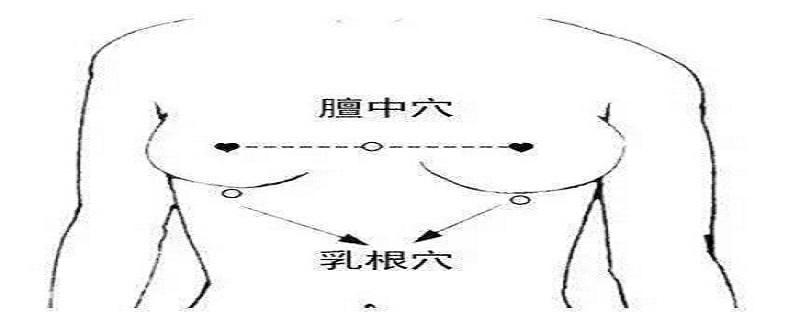 乳根的准确位置视频 乳根的准确位置及功效视频