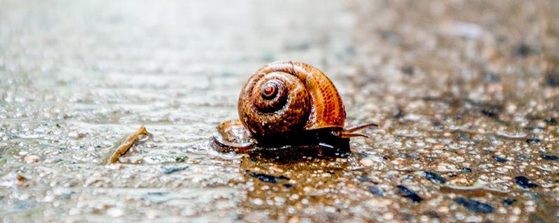 立秋下雨有什么说法（立秋下雨有什么说法没有）