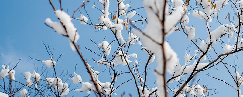 小雪节气养生 小雪节气养生文案