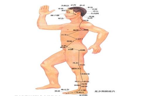 足少阳胆经的准确位置图（足少阳胆经的准确位置图走向）