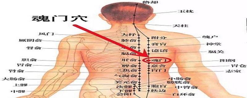 魂门的位置及作用（魂门的准确位置）