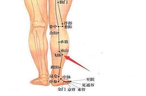 飞扬的准确位置图片 飞扬的准确位置图片图