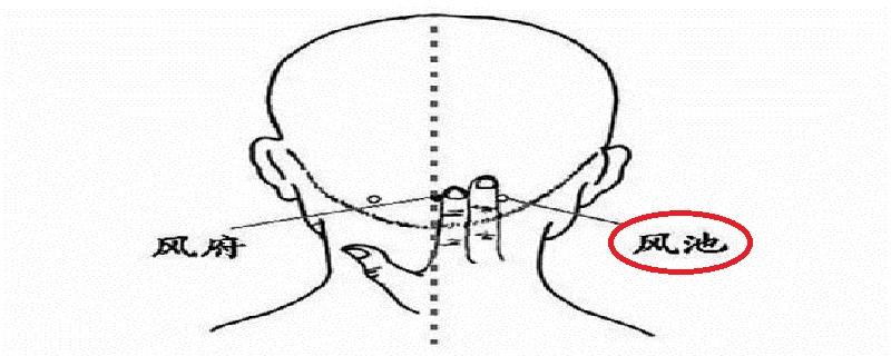 风池怎么找最简便 找风池的简单方法