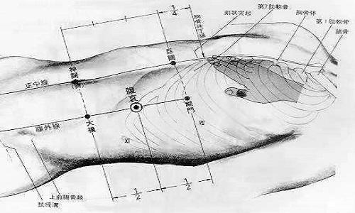 章门的准确位置图和作用（章门的准确位置图和作用视频）