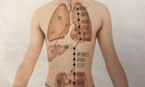 神藏的准确位置图作用（神藏的位置和作用）