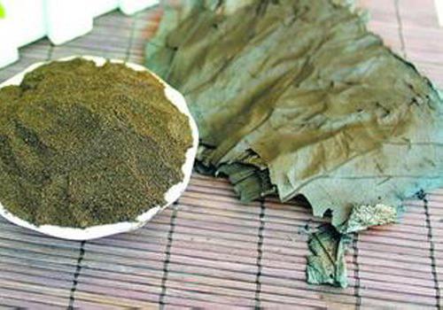 薄荷叶的营养价值（薄荷叶有什么营养）