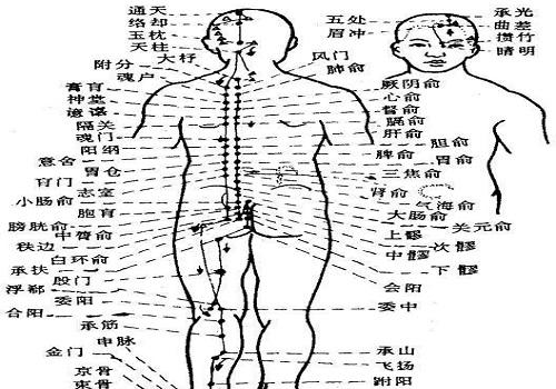 膀胱经不通的症状 膀胱经不通的症状有哪些表现