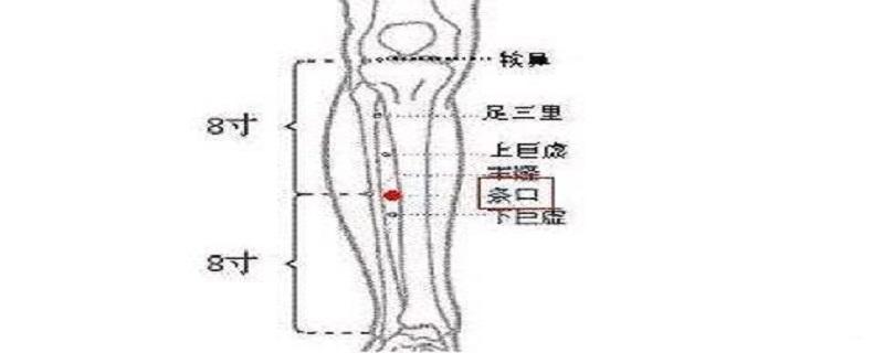 条口的意思是什么 开口条是什么