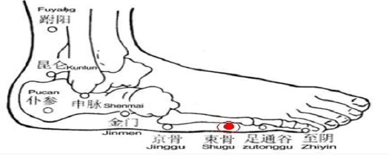 束骨的简单找法 束骨的准确位置图图解