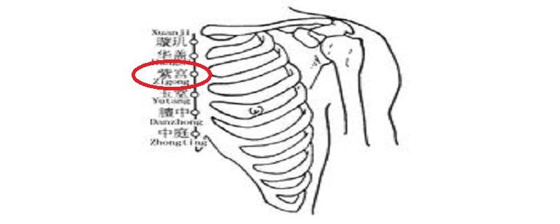 紫宫准确位置图 紫宫准确位置图和作用的准确位置图片