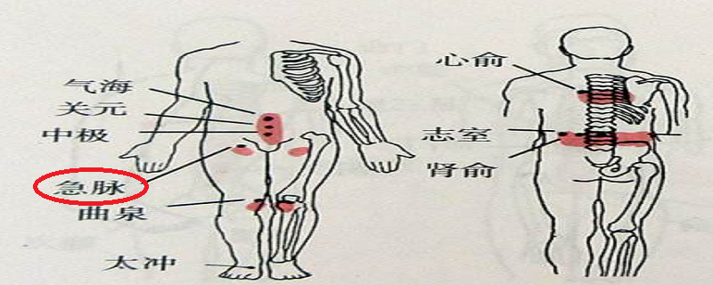 急脉的位置图片（急脉的准确位置图片）