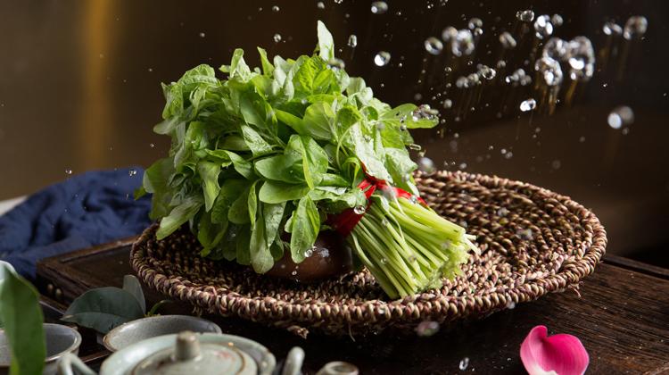 野刺苋菜的功效与作用 野刺苋菜的功效与作用及禁忌