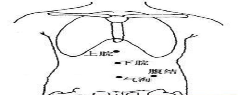 腹结的简单寻找（腹结准确位置图）