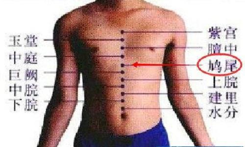 鸠尾的准确位置图（鸠尾的准确位置图片）