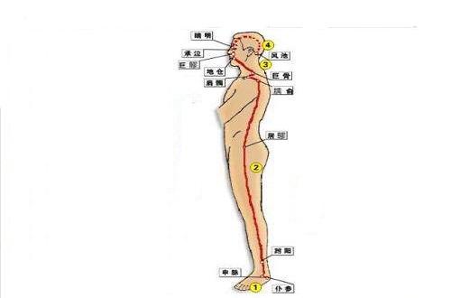 阳跷脉循行路线图片 阳跷脉的准确位置图详解