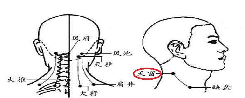 天窗在什么位置图（天窗的准确位置图片及作用）