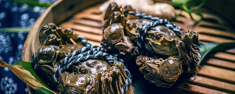 网购大闸蟹如何处理(网购大闸蟹如何处理最好)