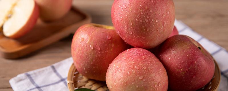 吃什么才能够减肥 吃什么才能减肥呢