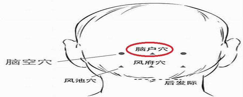 脑户的位置图片 脑户的准确位置图和作用的准确位置图片