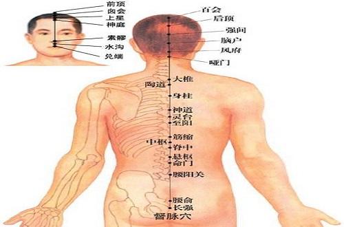 长强准确位置图和作用（长强准确位置图和作用一）