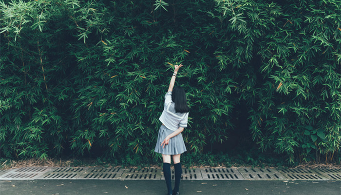 蜜植素洗发水是正规产品吗 蜜植素洗发水是不是正规产品吗