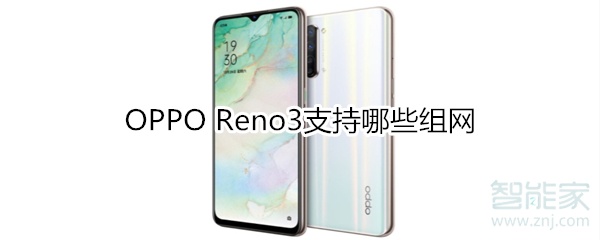 OPPO Reno3支持哪些组网