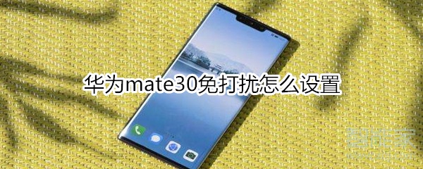 华为mate30免打扰怎么设置