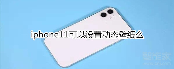 iphone11可以设置动态壁纸么