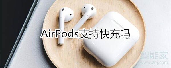 airpods支持快充吗